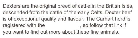 Dexters are the original breed of cattle in the British Isles, descended from the cattle of the early Celts. Dexter beef is of exceptional quality and flavour. The Carhart herd is registered with the Dexter Society, so follow that link if you want to find out more about these fine animals.